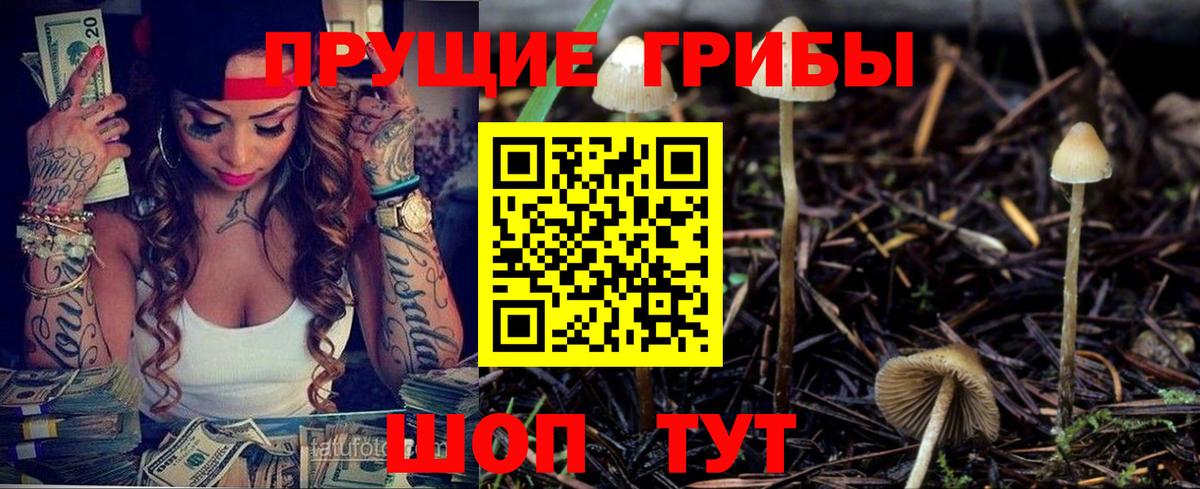 Камень-на-Оби  Галлюциногенные грибы ЛСД  Вход с VPN 