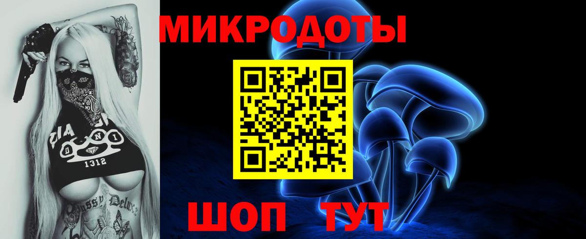 Псилоцибиновые грибы Cubensis Камень-на-Оби